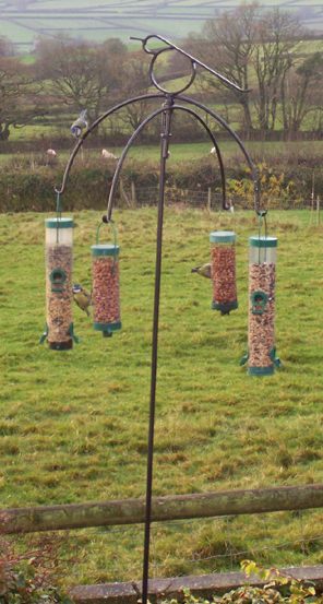 wrought iron bird feeder stands holders